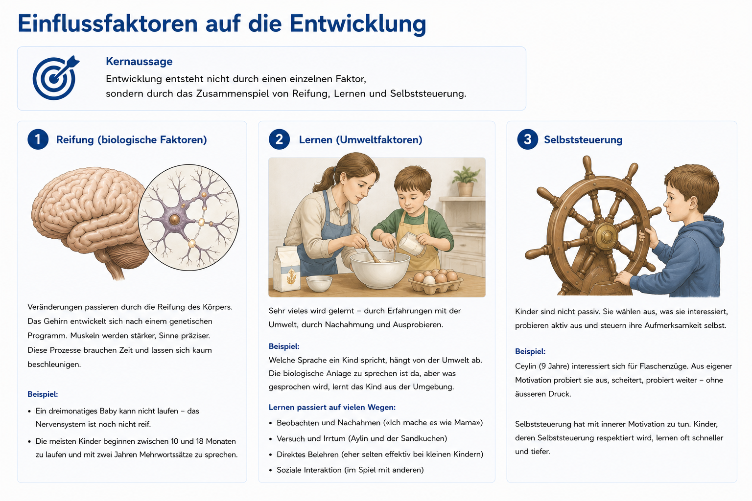 Infographik: Einflussfaktoren der Entwicklung